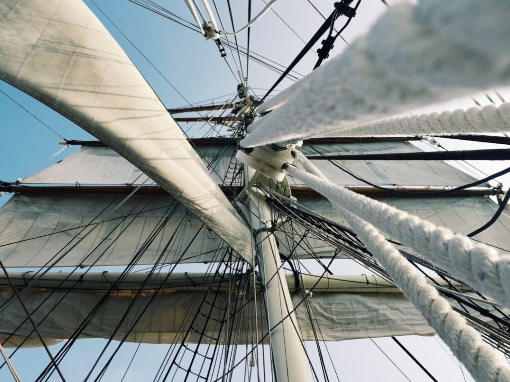 Photo Pirate Anime